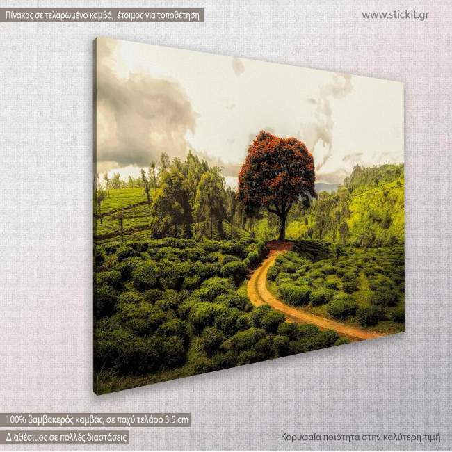 Canvas print Scenery, Make a difference, side
