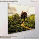 Canvas print Scenery, Make a difference, side