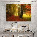 Canvas print Autumn forest road