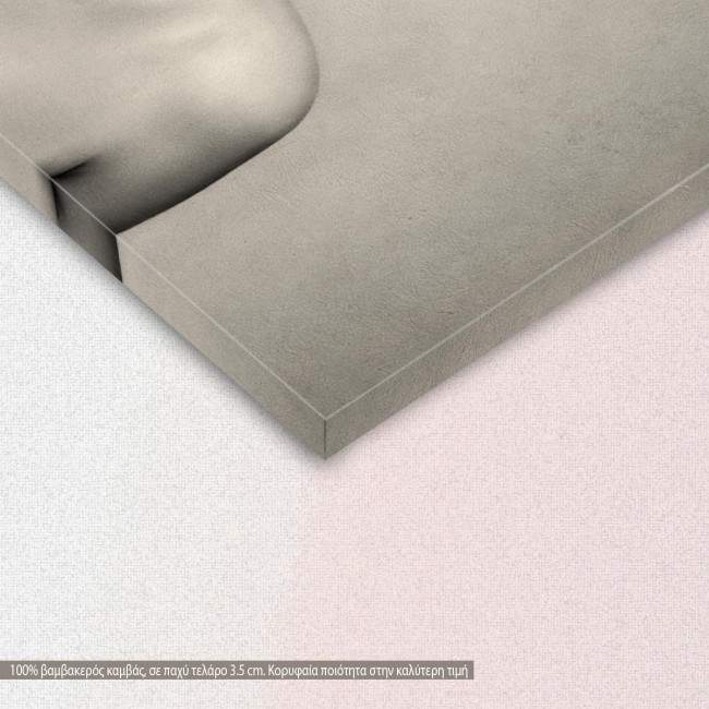 Canvas print Marilyn Monroe in gray, detail