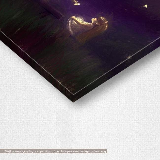 Kids canvas print Reach the stars