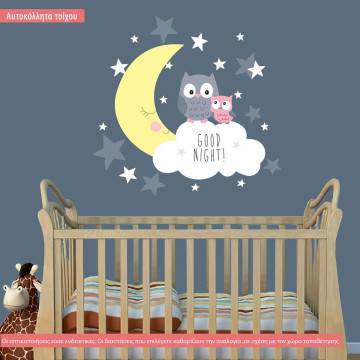 Αυτοκόλλητα τοίχου κουκουβάγιες στο φεγγάρι, Good night