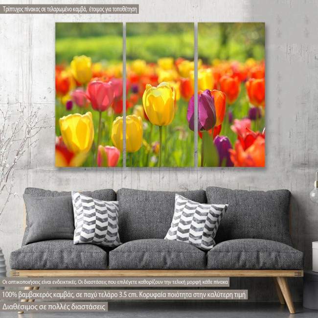 Πίνακας σε καμβά Tulips, τρίπτυχος