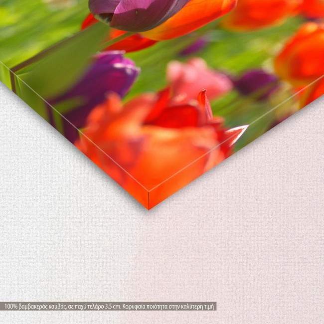 Tulips, τρίπτυχος πίνακας σε καμβά, λεπτομέρεια