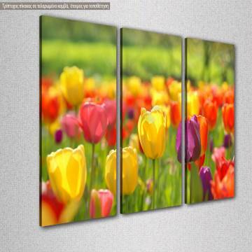 Canvas print Tulips,  3 panels 2