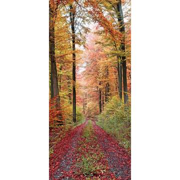 Door sticker Path covered with leaves 2