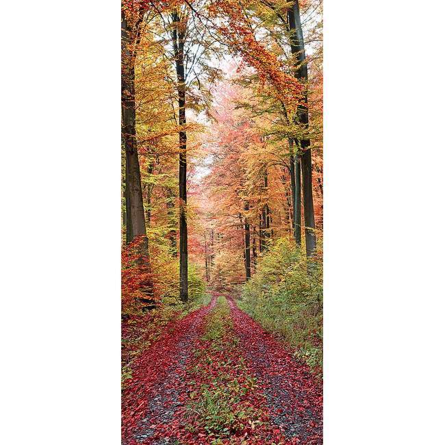 Door sticker Path covered with leaves