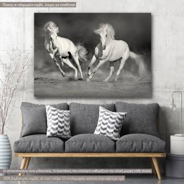 Πίνακας σε καμβά Λευκά άλογα grayscale