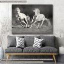 Canvas print white horses grayscale