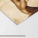 Canvas print The purrr creation reart, (based on The Creation of Adam by Michelangelo ), reproduction, detail