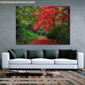 Red path  canvas print