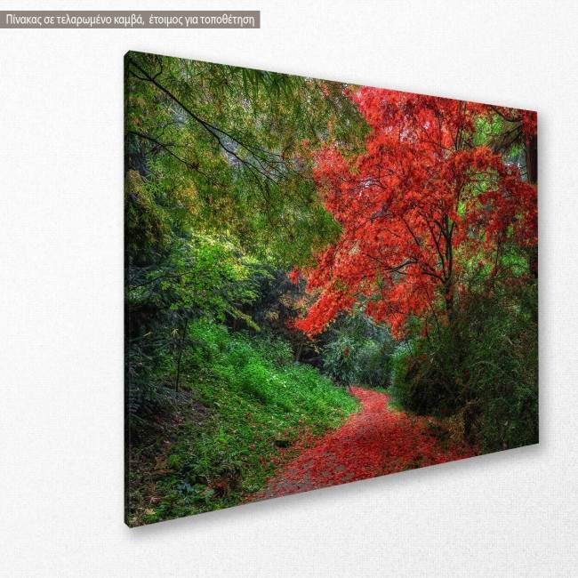 Red path  canvas print, side