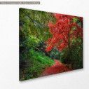 Red path  canvas print, side