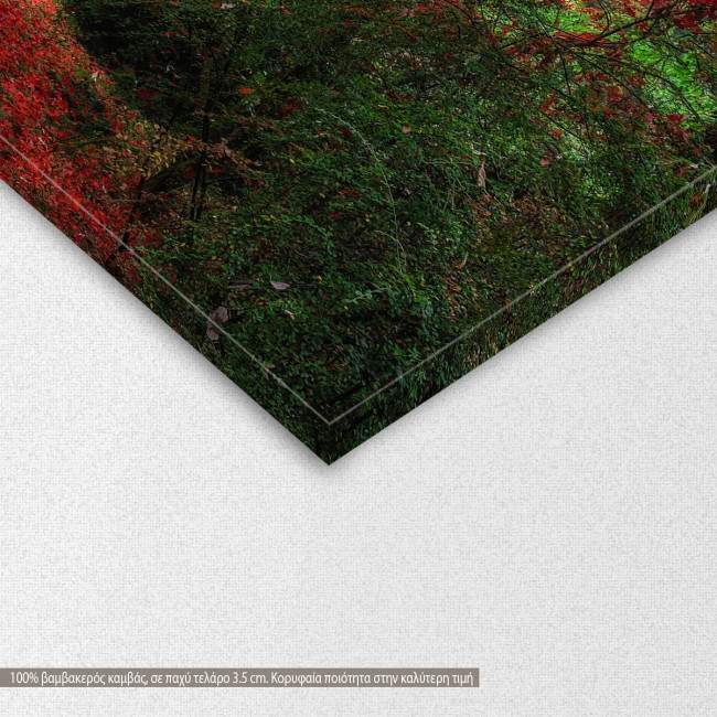 Red path  canvas print, detail