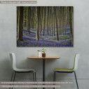 Canvas print Forest with bluebell flowers