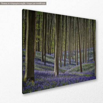 Canvas print Forest with bluebell flowers 2