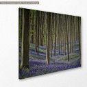 Canvas print Forest with bluebell flowers, side