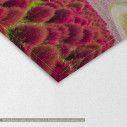 Canvas print Kochia and flower field, detail