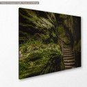 Canvas print Mountain steps, side