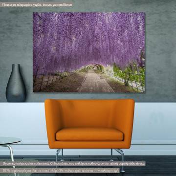 Canvas print Wisteria flower tunnel