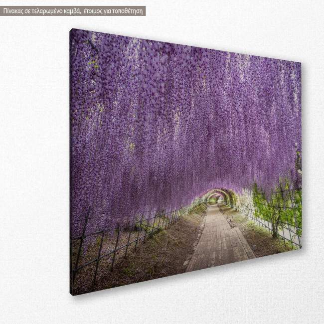 Canvas print Wisteria flower tunnel, side