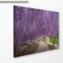 Canvas print Wisteria flower tunnel, side