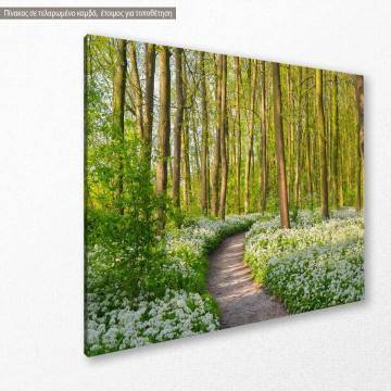 Canvas print Forest with blooming white flowers 2