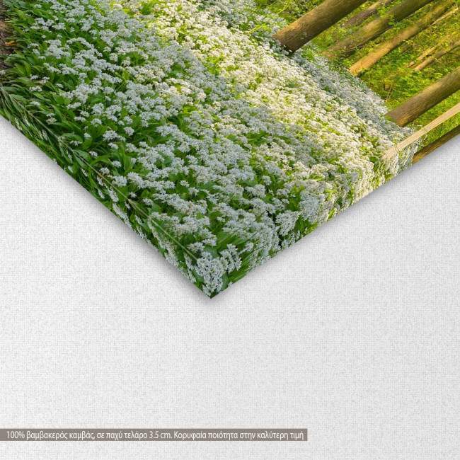 Forest with blooming white flowers, πίνακας σε καμβά, λεπτομέρεια