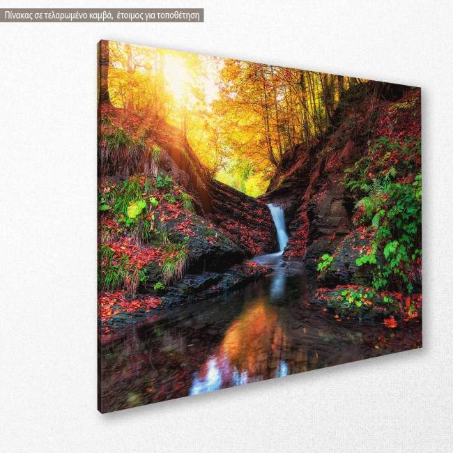 Canvas print Mountain creek, side