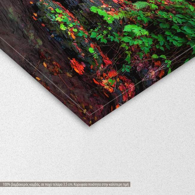 Mountain creek, πίνακας σε καμβά, λεπτομέρεια