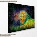 Canvas print Cosmos and the lion, side