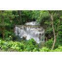 Wallpaper Waterfall in rainforest
