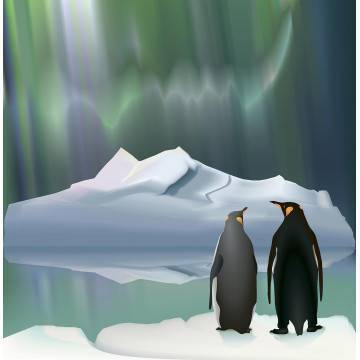 Wallpaper Penguins in a row 2