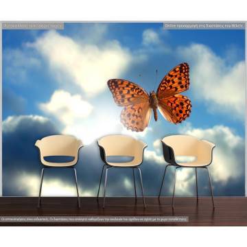 Wallpaper Butterfly in the sky