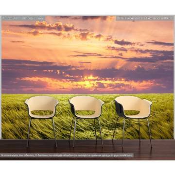 Wallpaper Green meadow