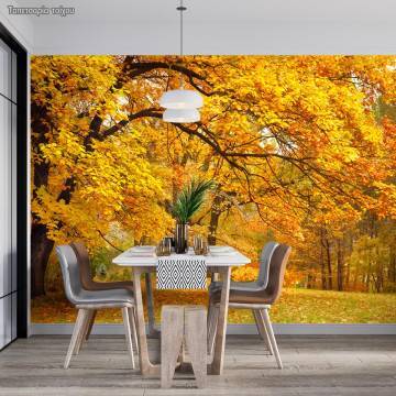 Wallpaper Scenery at forest II 2