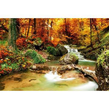 Ταπετσαρία τοίχου Forest creek 2