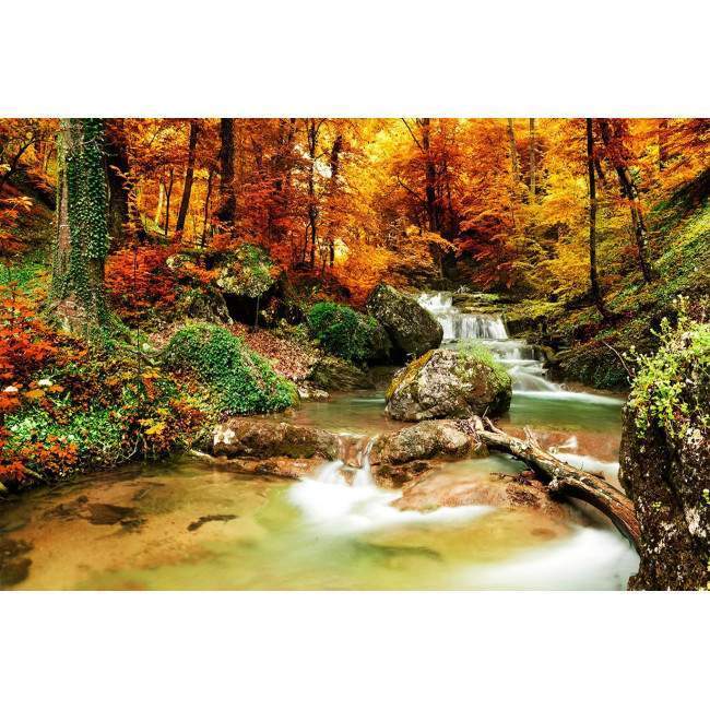 Wallpaper Forest creek