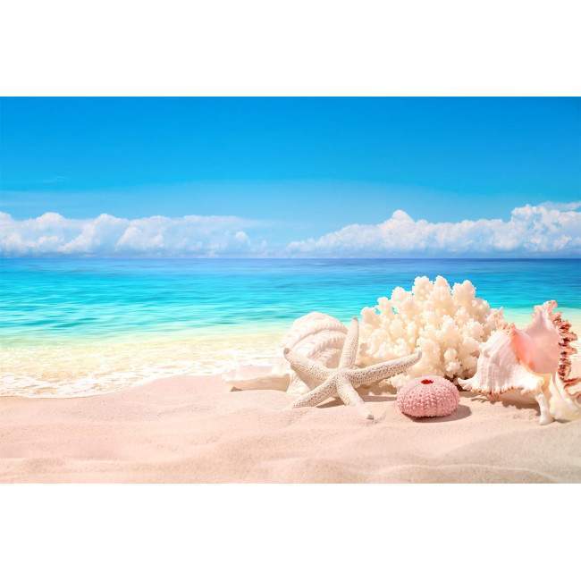  Seashells on sand beach, ταπετσαρία τοίχου φωτογραφική