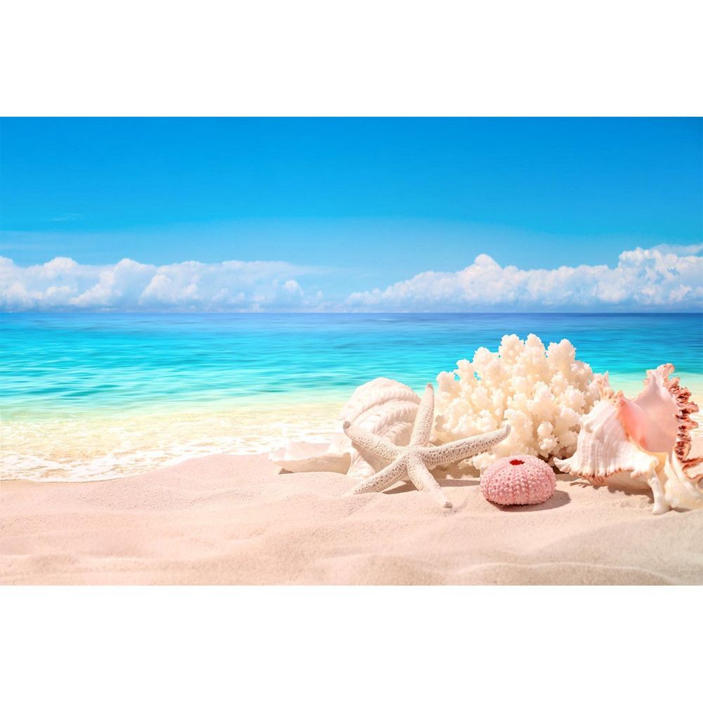 Wallpaper Seashells on sand beach
