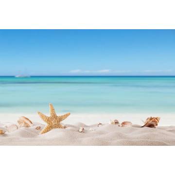 Wallpaper Summer beach with strafish and shells 2