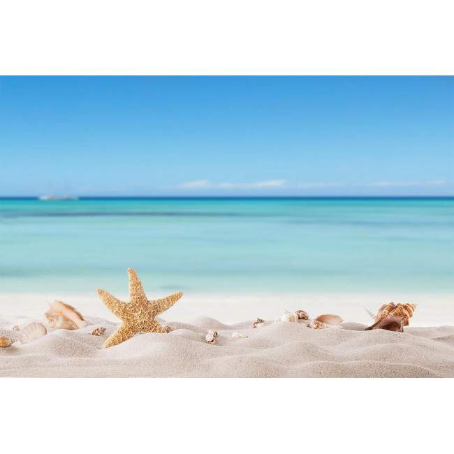 Summer beach with strafish and shells, ταπετσαρία τοίχου φωτογραφική