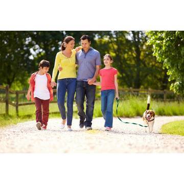 Wallpaper Family walk 2