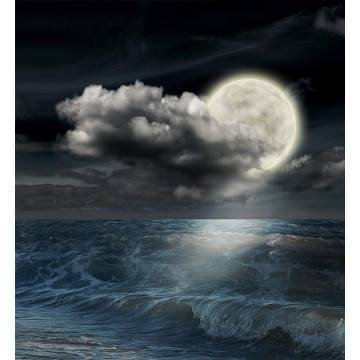 Wallpaper Moonfull night 2