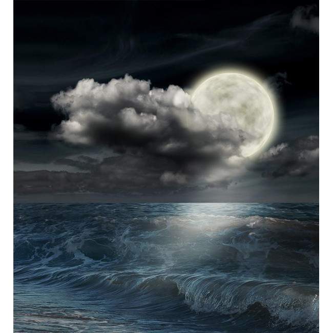 Moonfull night, ταπετσαρία τοίχου φωτογραφική