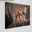 Canvas print Roots,  3 panels, side