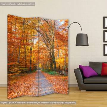 Παραβάν Autumn path