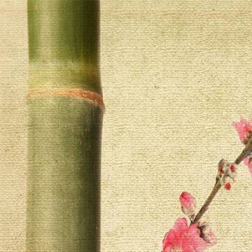 Room divider Bamboo and cherries 2