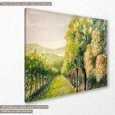 Canvas print  Vineyard, side