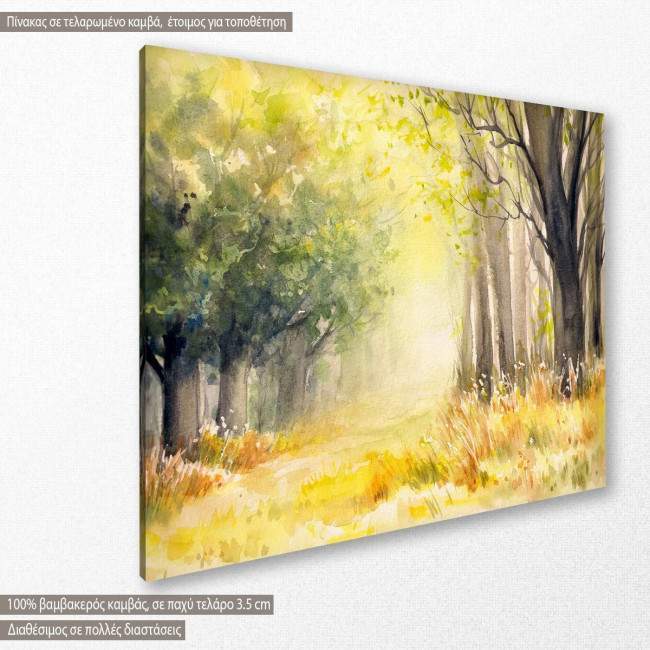 Canvas print Sunny summer forest, side